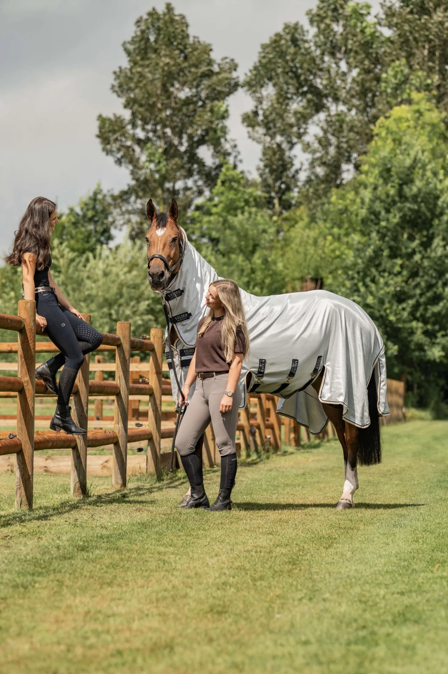 Velder Horsewear Premium Vliegendeken Pearl Grey