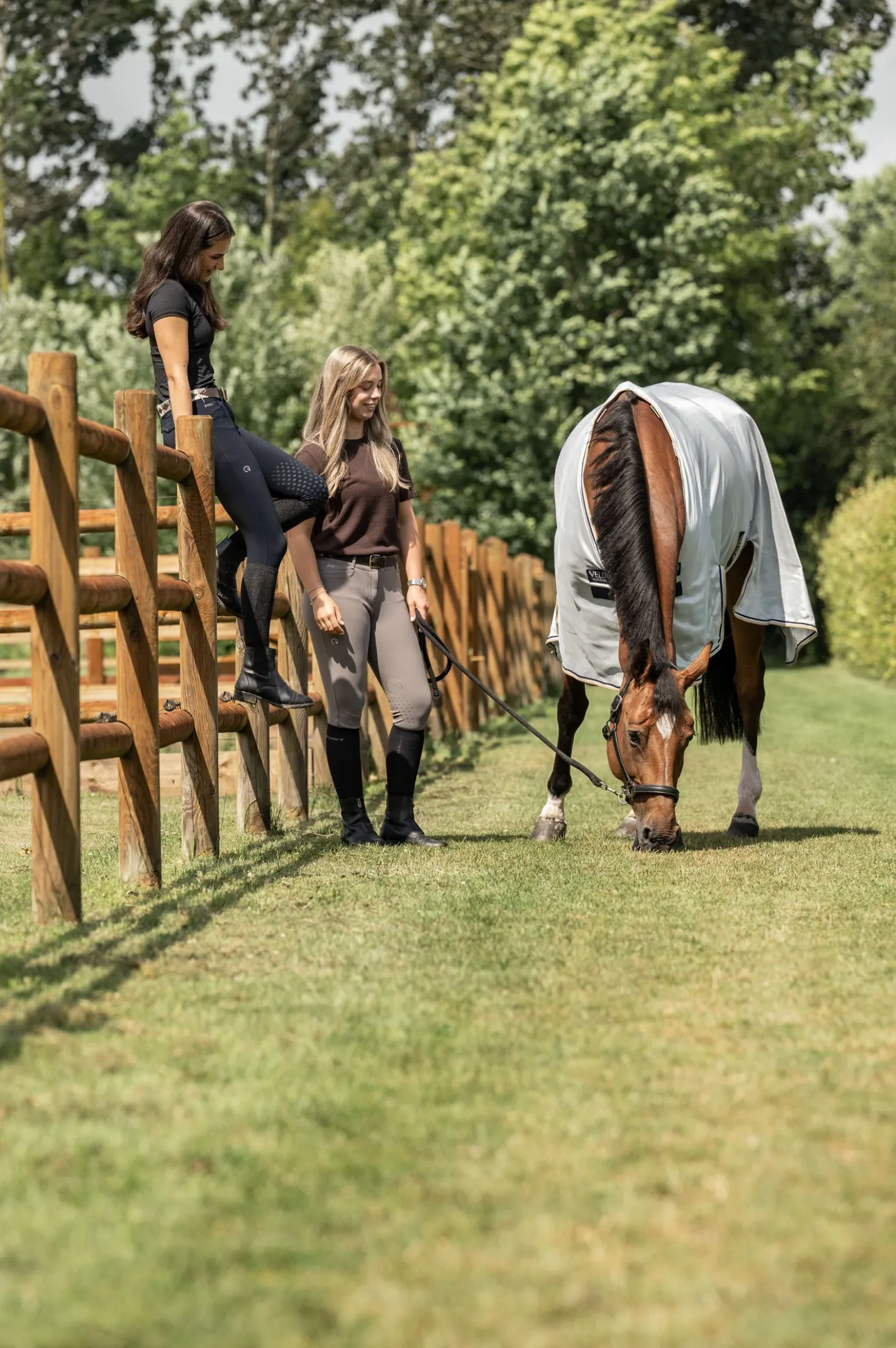Velder Horsewear Premium Vliegendeken Pearl Grey