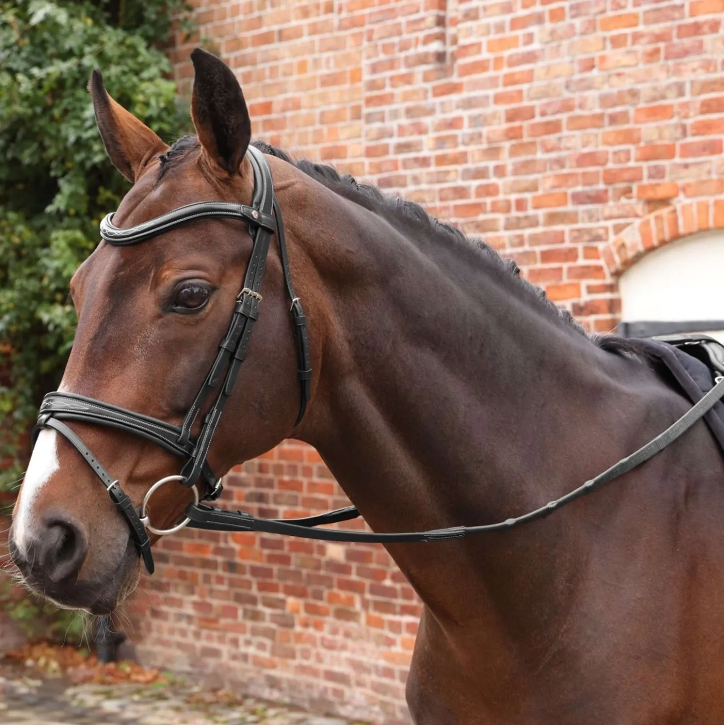 Velociti by Shires Teugels Lusso Elite Pro SureGrip Zwart