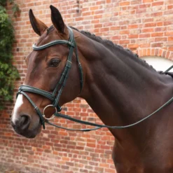 Velociti by Shires Teugels Lusso Elite Pro SureGrip Zwart
