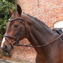 Velociti by Shires Teugels Lusso Elite Pro SureGrip Havana