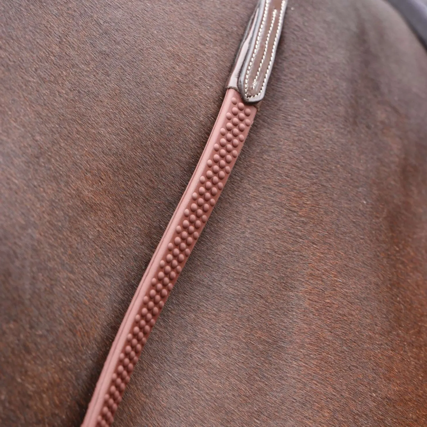 Velociti by Shires Teugels Lusso Elite Pro SureGrip Havana