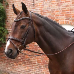 Velociti by Shires Teugels Lusso Elite Pro SureGrip Havana