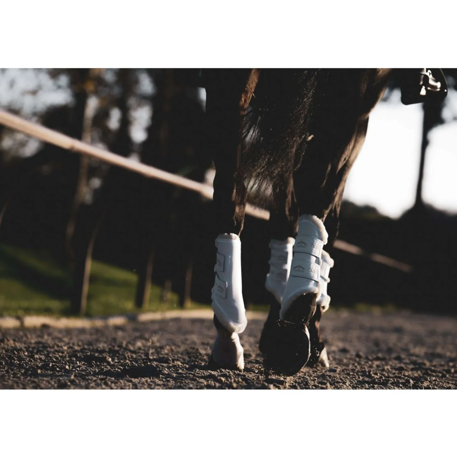 Veredus Beenbeschermers TRB Save the Sheep Rear Wit