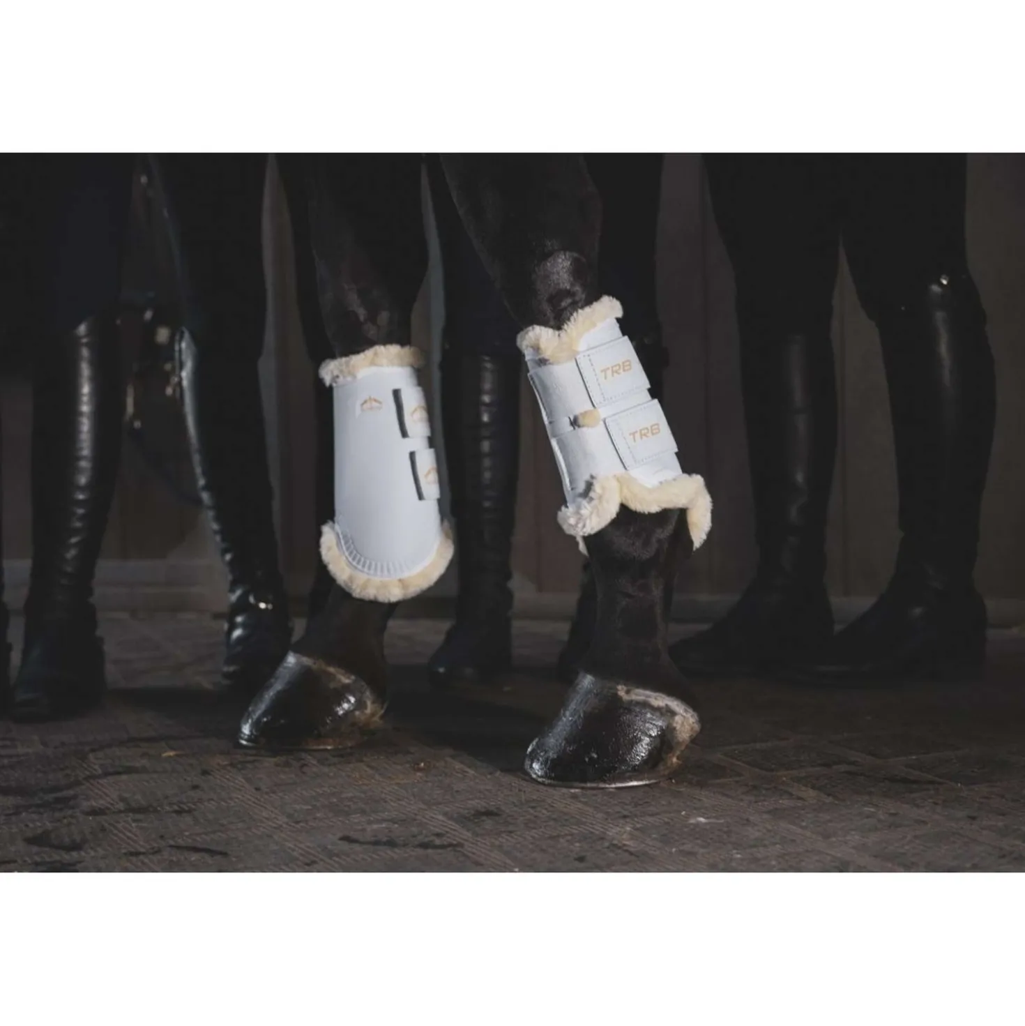 Veredus Beenbeschermers TRB Save the Sheep Rear Wit