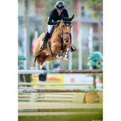 Veredus Cap Vita Breed Vizier Lak Zwart