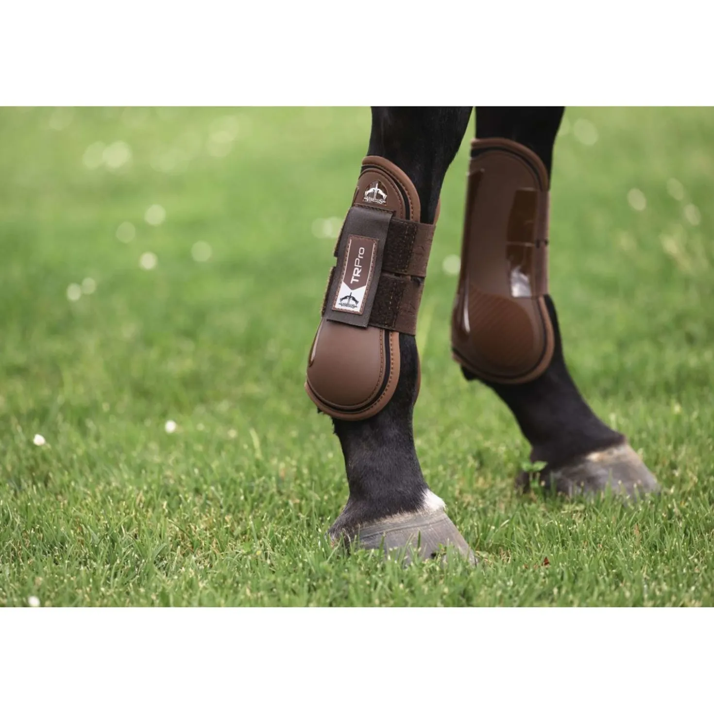 Veredus Peesbeschermers TR PRO Front Bruin