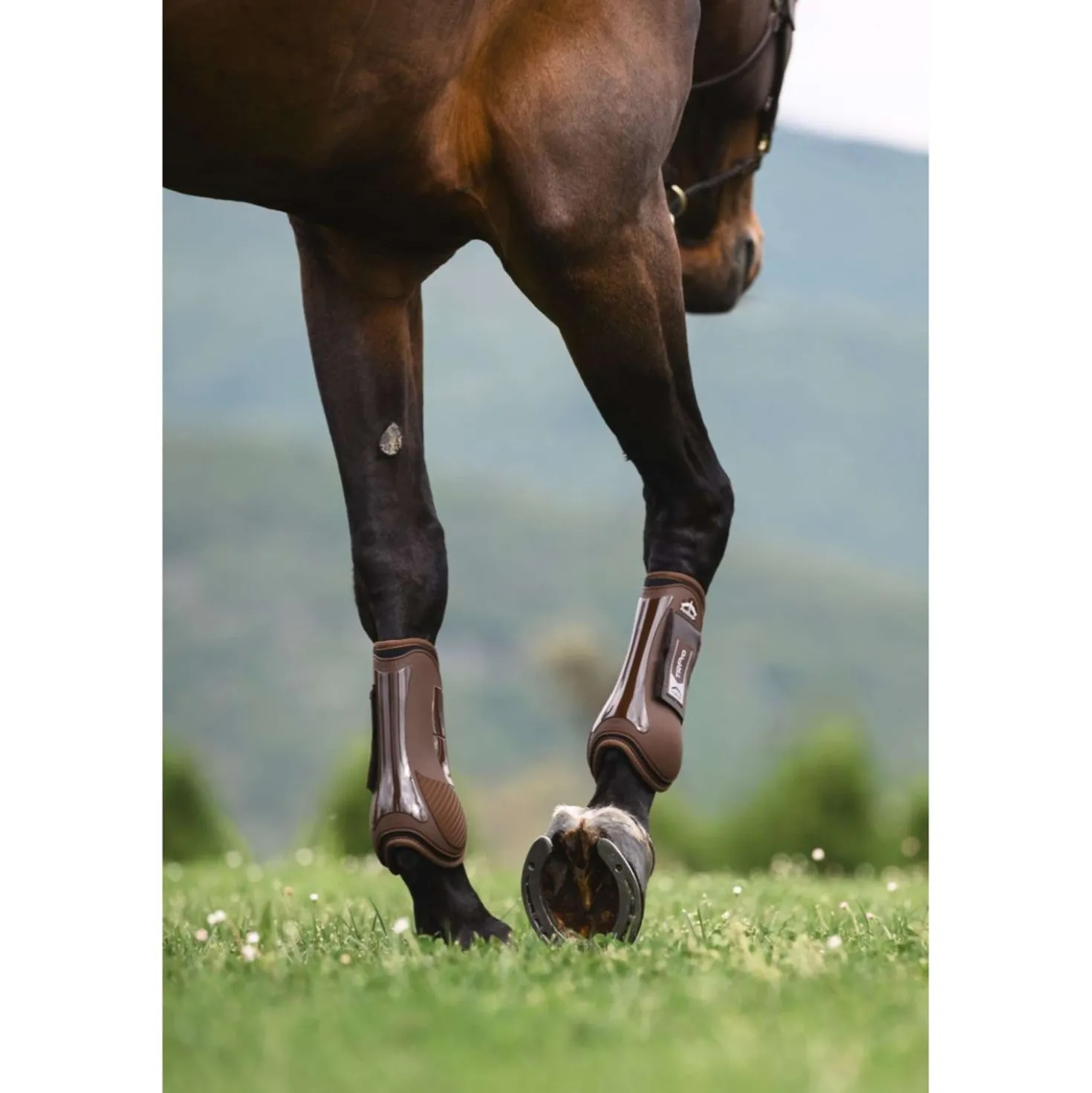 Veredus Peesbeschermers TR PRO Front Bruin