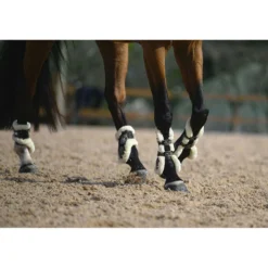 Veredus Strijklappen Carbon Gel Absolute Save the Sheep Rear Zwart