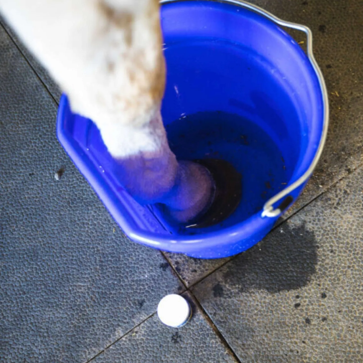 Vetericyn Hoof Soak