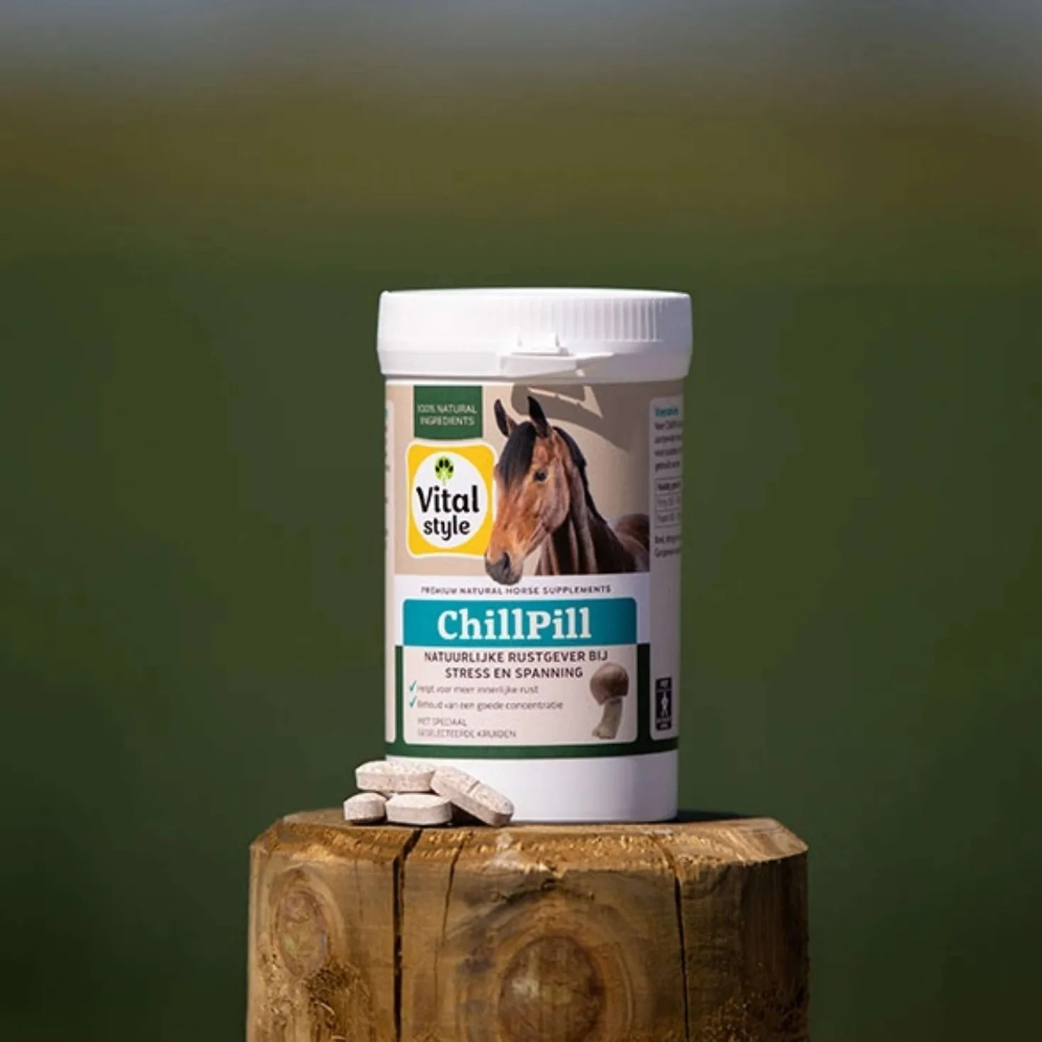 Vitalstyle ChillPill Paard