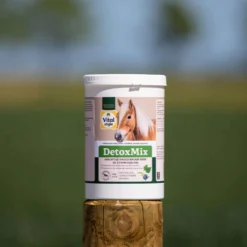 Vitalstyle DetoxMix