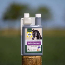Vitalstyle DolorComfort