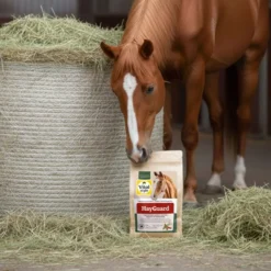 Vitalstyle HayGuard