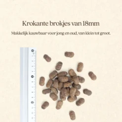 Vitalstyle Hond Adult