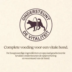 Vitalstyle Hond Adult
