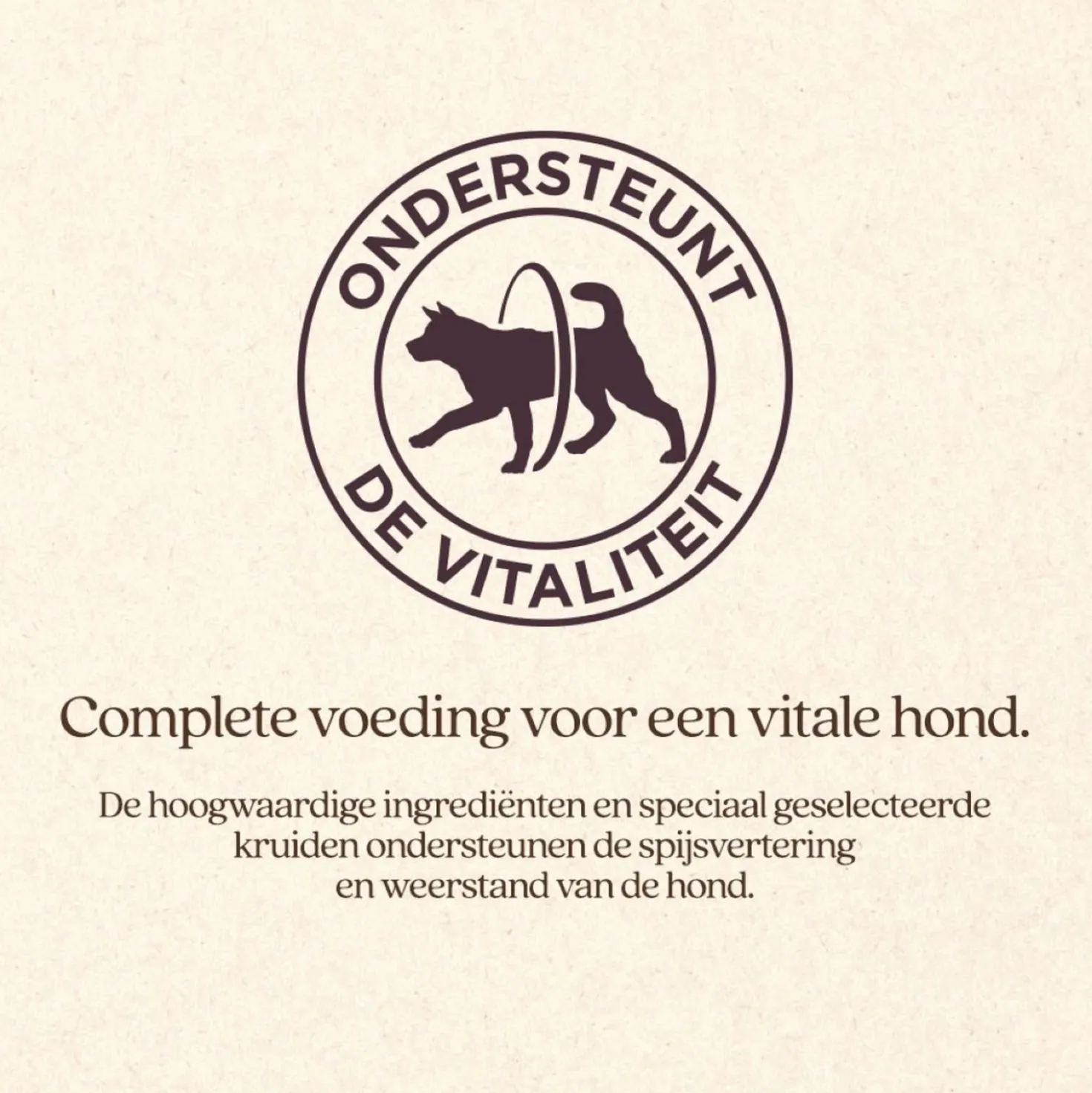 Vitalstyle Hond Adult