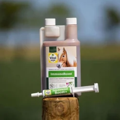 Vitalstyle ImmunoBoost