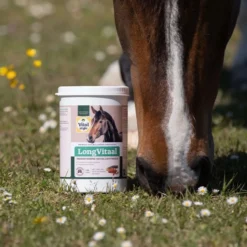 Vitalstyle LongVitaal