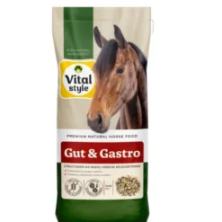 Vitalstyle Muesli Gut & Gastro