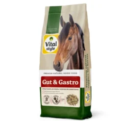 Vitalstyle Muesli Gut & Gastro
