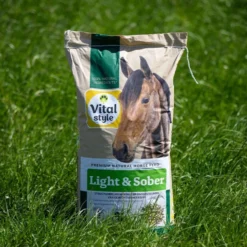 Vitalstyle Muesli Light & Sober