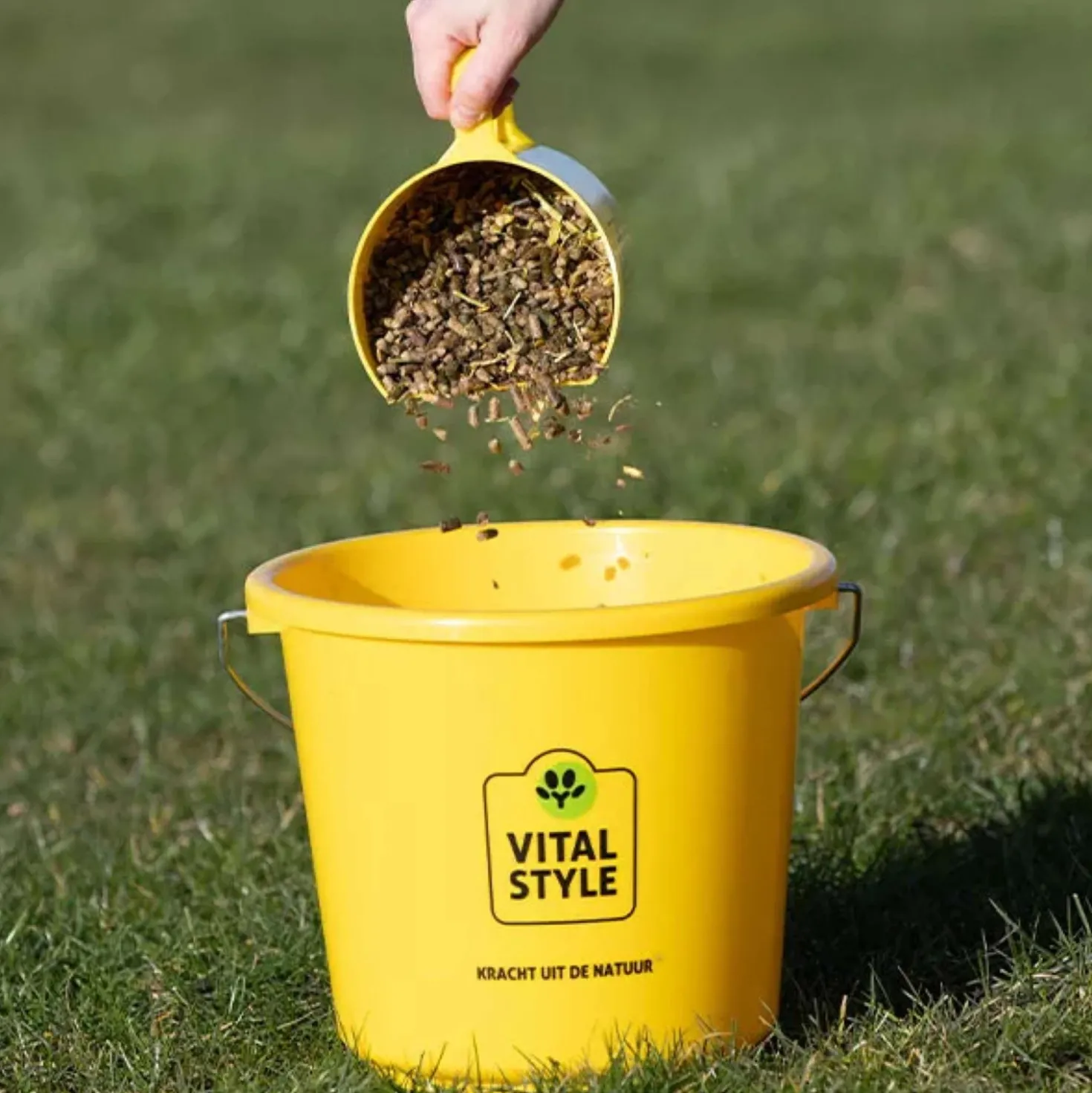 Vitalstyle Muesli Senior & Balance