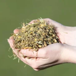 Vitalstyle Muesli Young & Breed