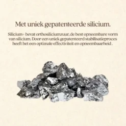 Vitalstyle Silicium+