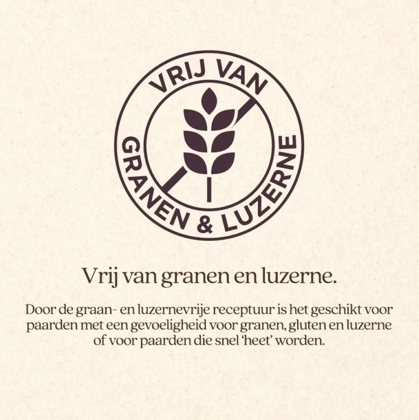 Vitalstyle SluesliMix