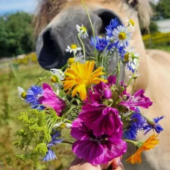 Vitalstyle WeideBloemen