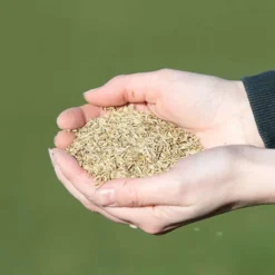 Vitalstyle WeideGraszaad