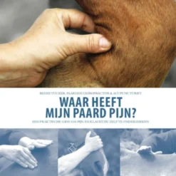 Waar Heeft Mijn Paard Pijn