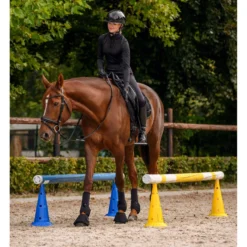 Waldhausen Balkenhouder voor Pionnen 4 Stuks Wit