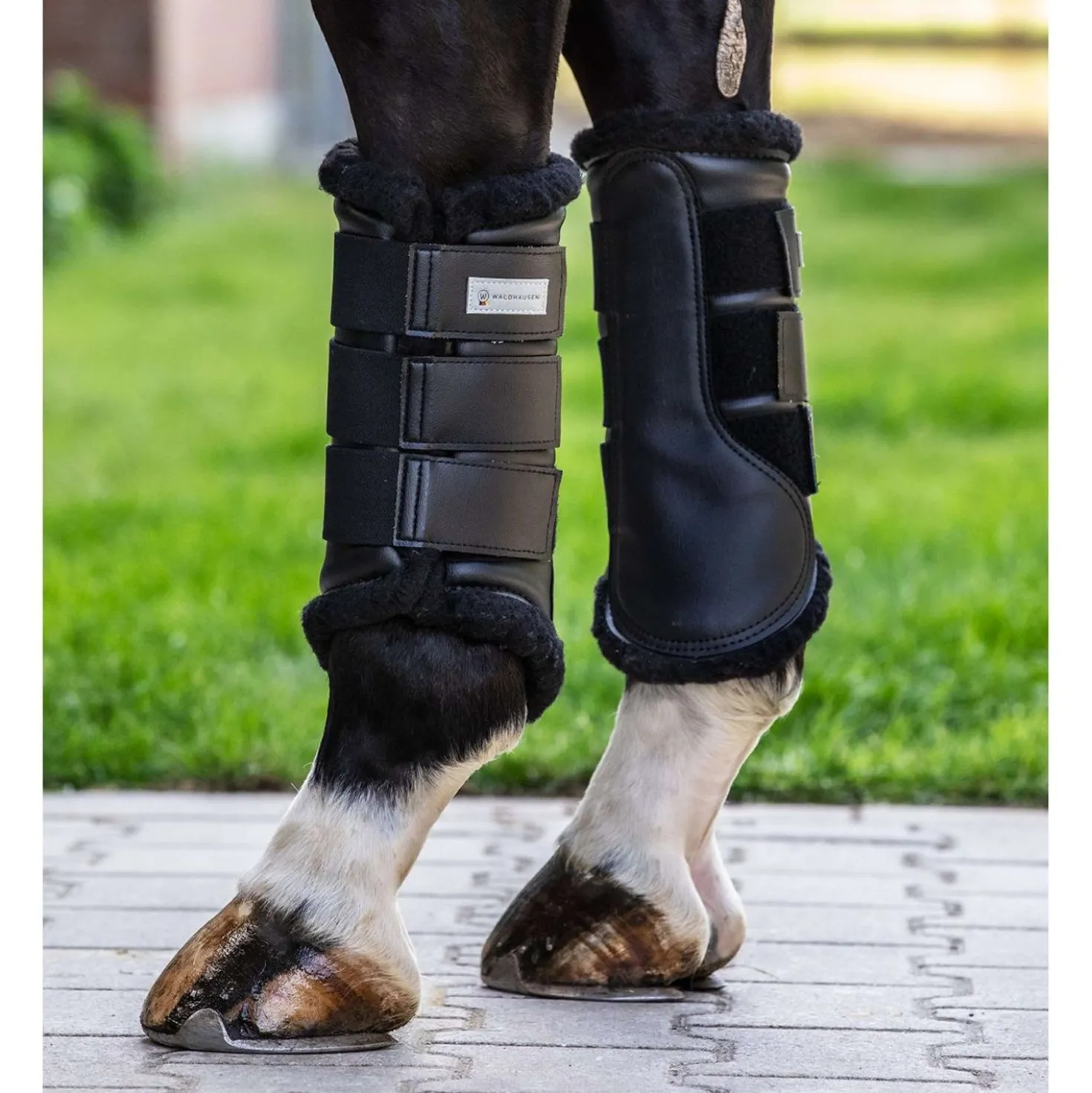 Waldhausen Beenbeschermers Soft Dressuur Zwart
