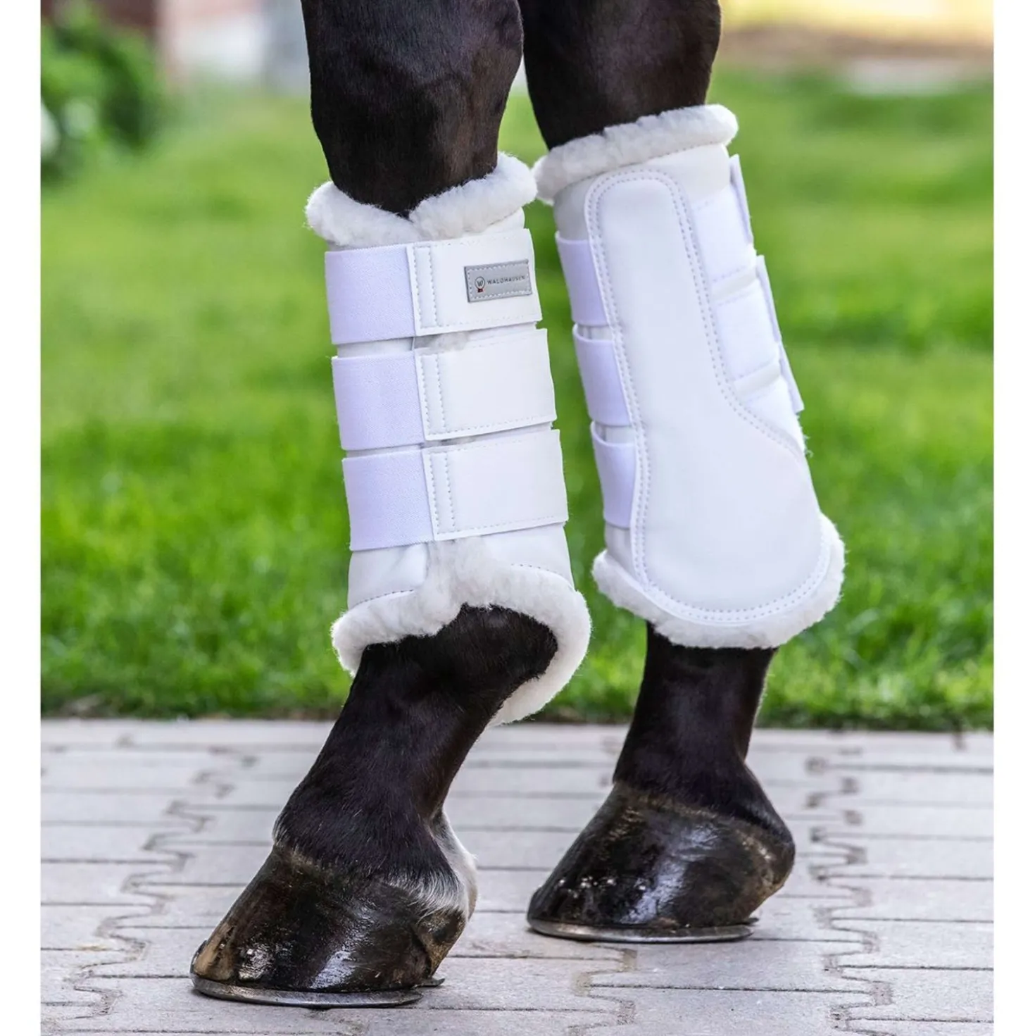 Waldhausen Beenbeschermers Soft Dressuur Wit