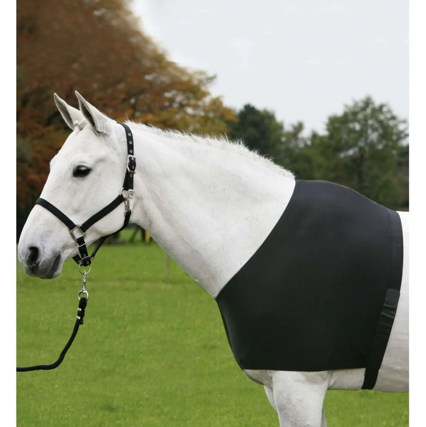 Waldhausen Borstbeschermer Comfort Vest Zwart