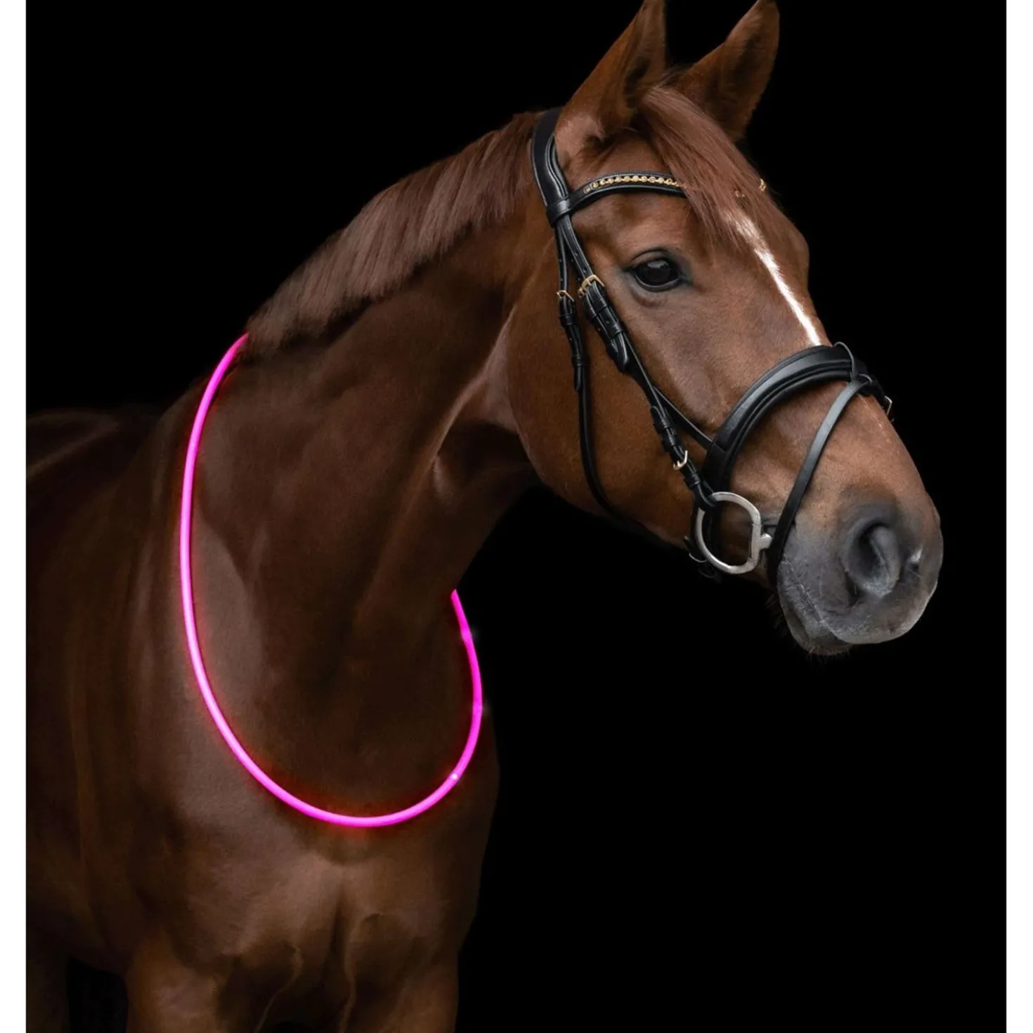 Waldhausen Halsring LED Roze