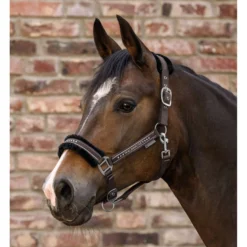 Waldhausen Halster Elegant Sage