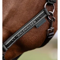Waldhausen Halster Elegant Zwart/Zwart