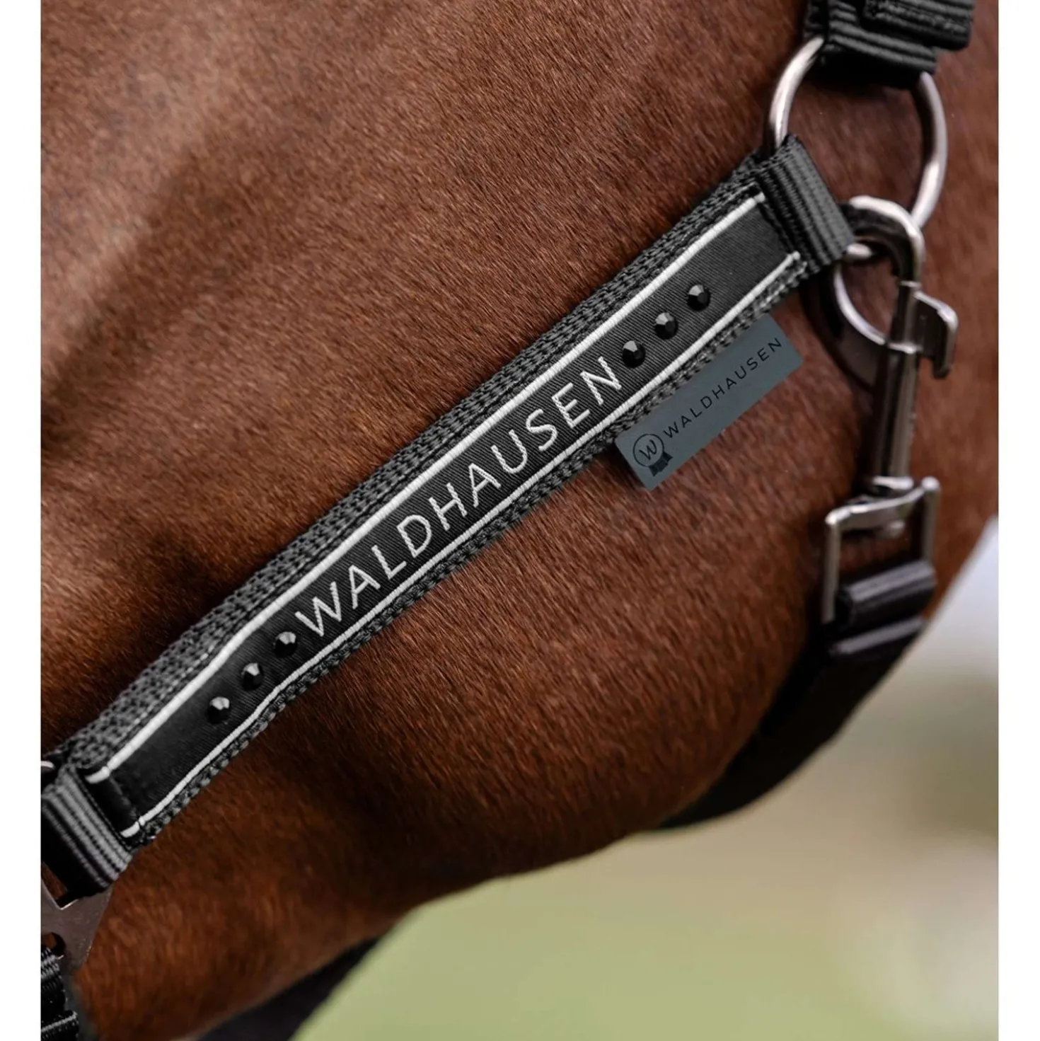 Waldhausen Halster Elegant Zwart/Zwart