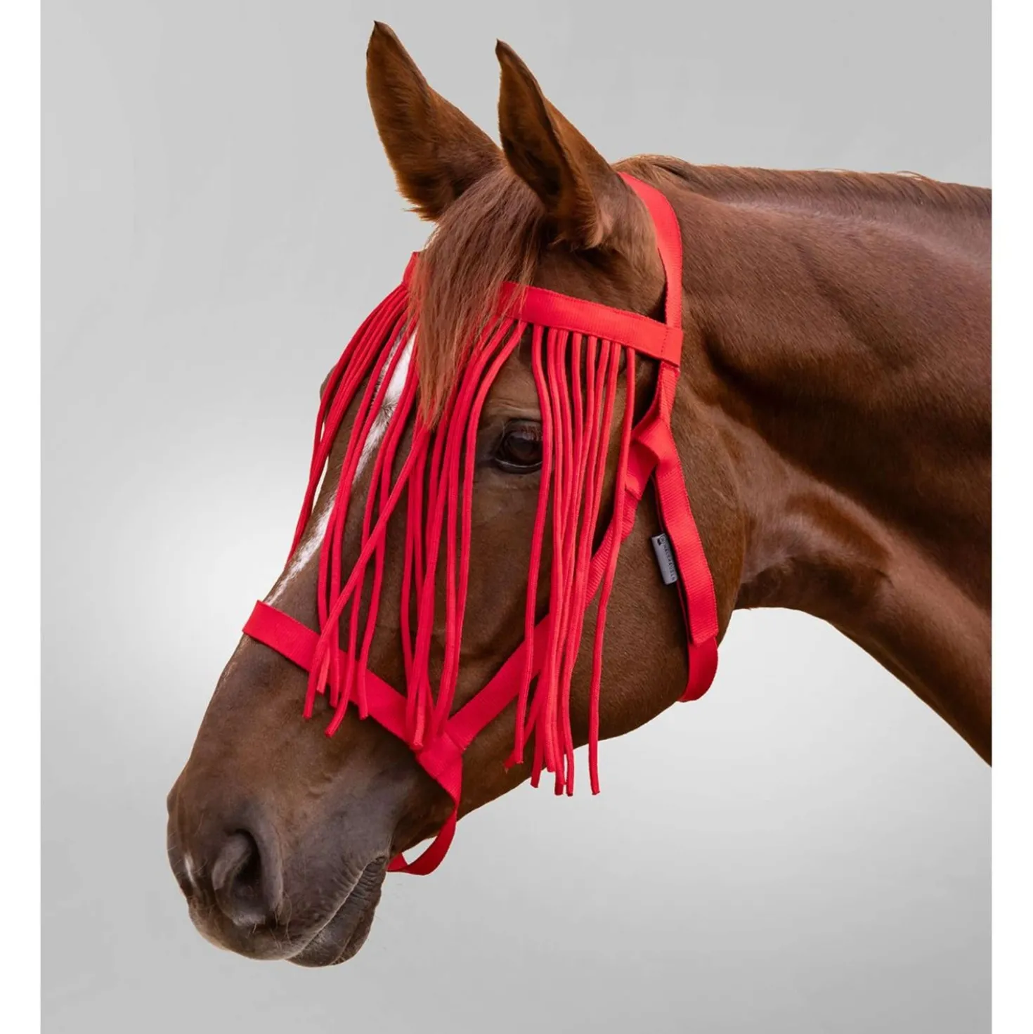Waldhausen Halster Grazing met Franje Rood