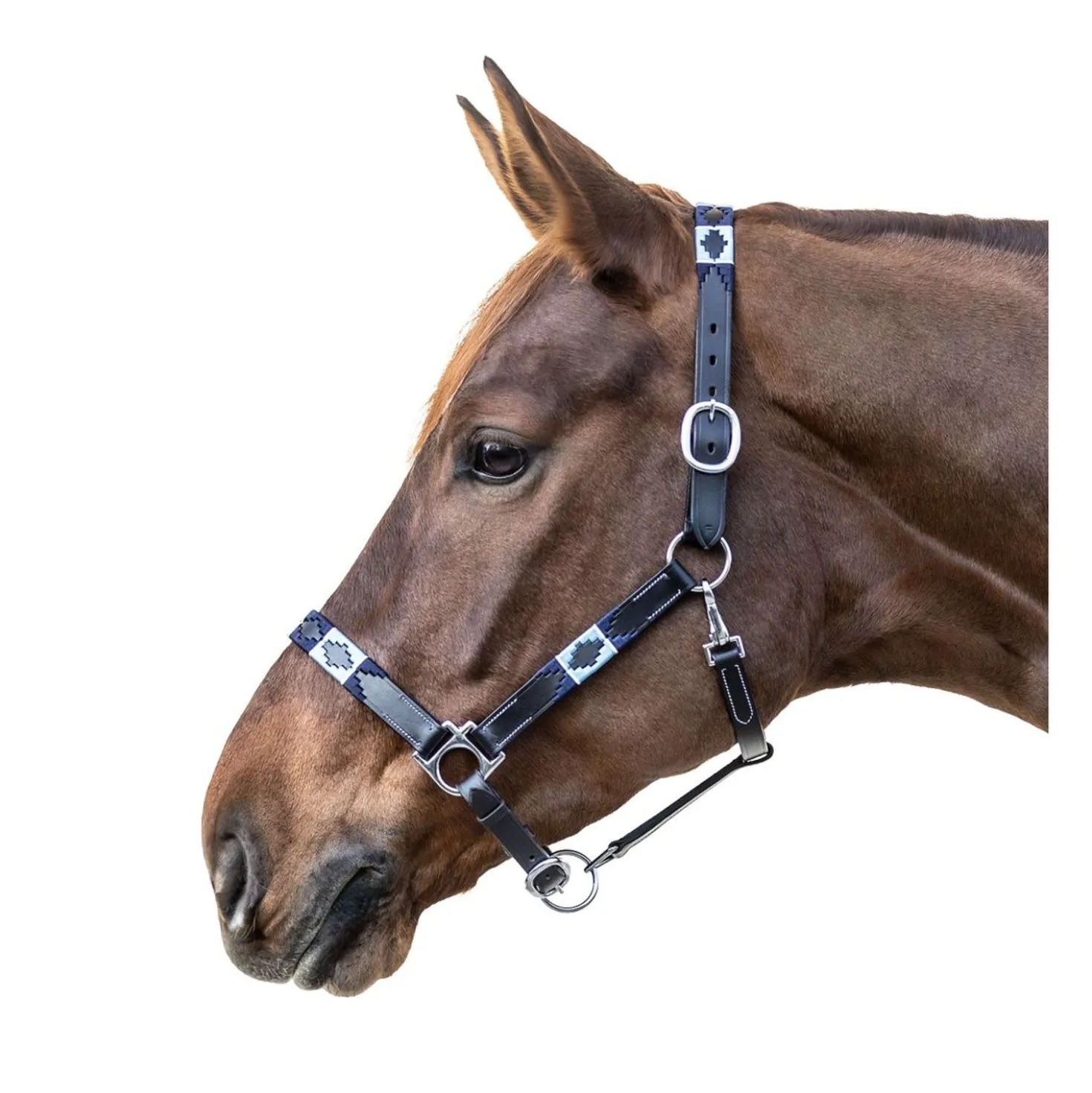 Waldhausen Halster Polo Leder Zwart/Blauw