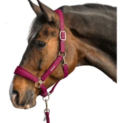 Waldhausen Halsterset Velvet Pomegranate