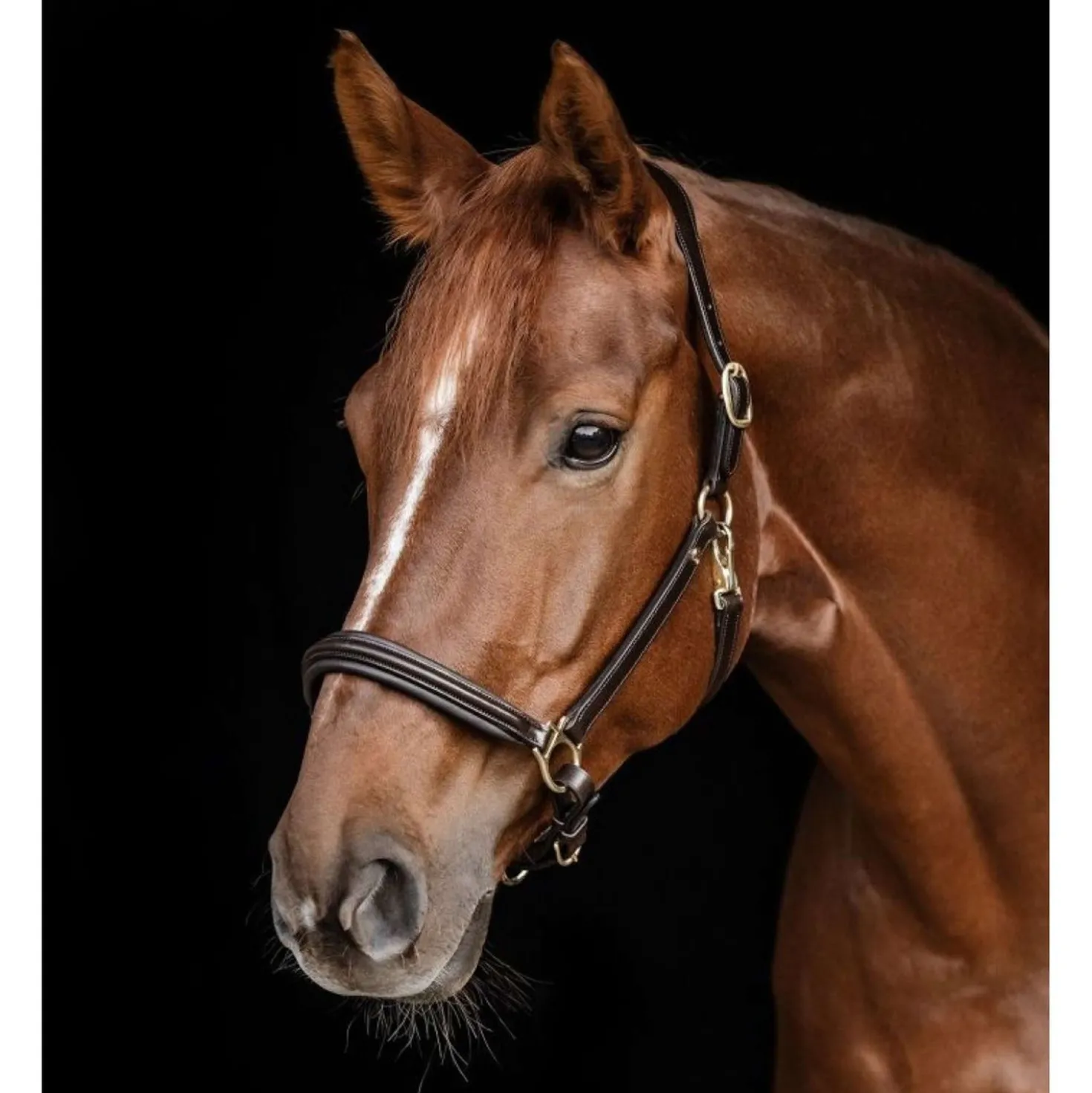 Waldhausen Halster S-Line Classy Leer Bruin