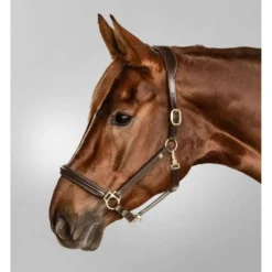 Waldhausen Halster S-Line Classy Leer Bruin