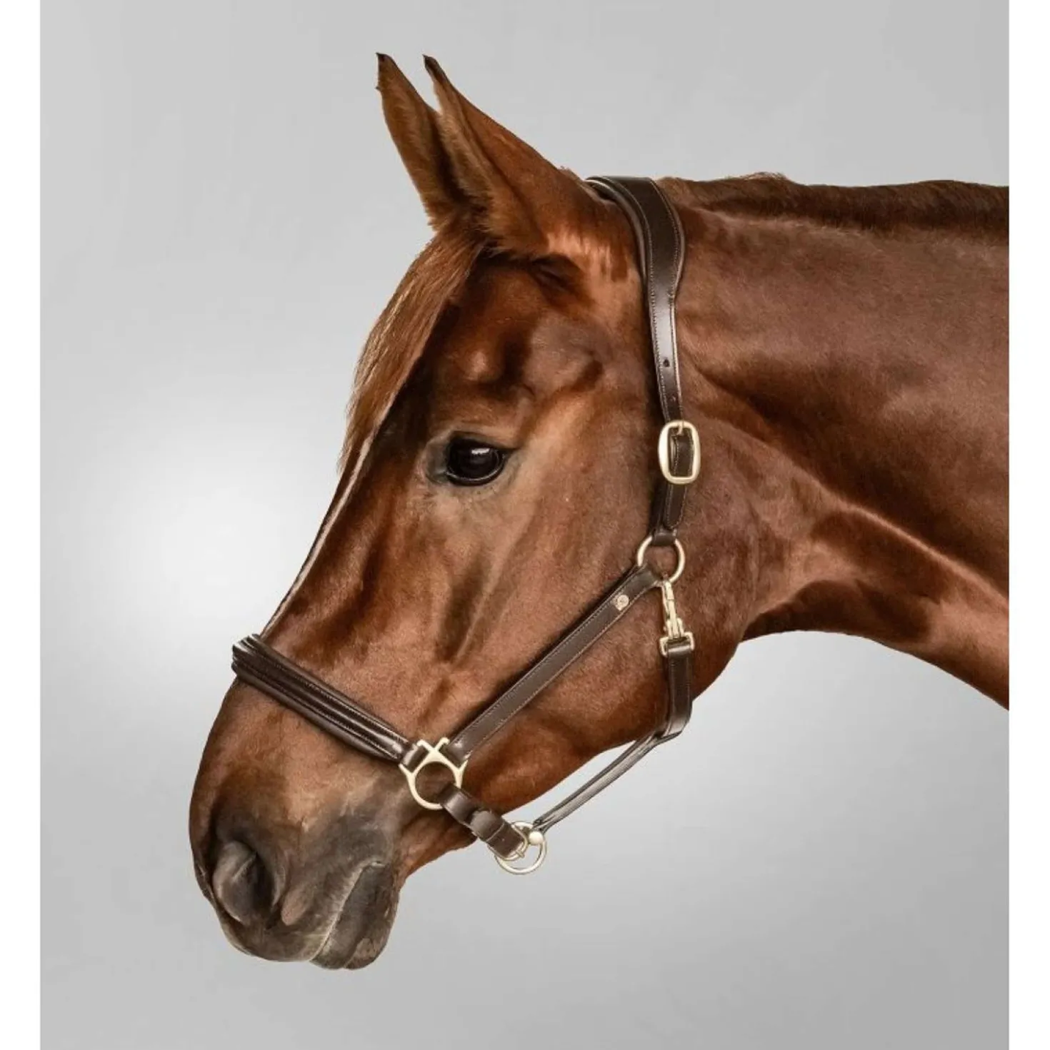 Waldhausen Halster S-Line Classy Leer Bruin