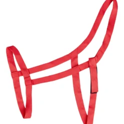 Waldhausen Halster Weide Rood