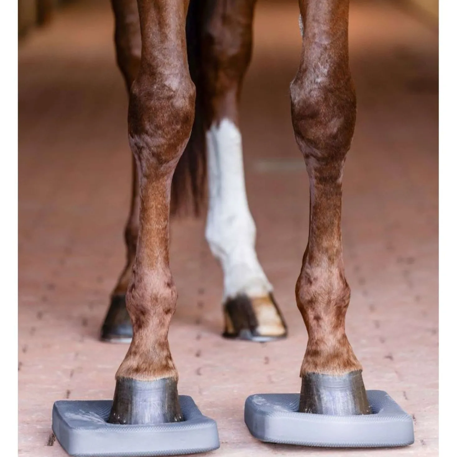 Waldhausen Health + Care Balance Pads Grijs