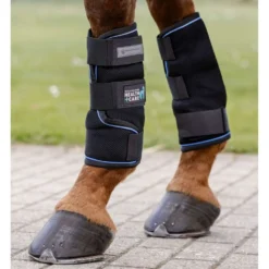 Waldhausen Health + Care Ice Boots Zwart